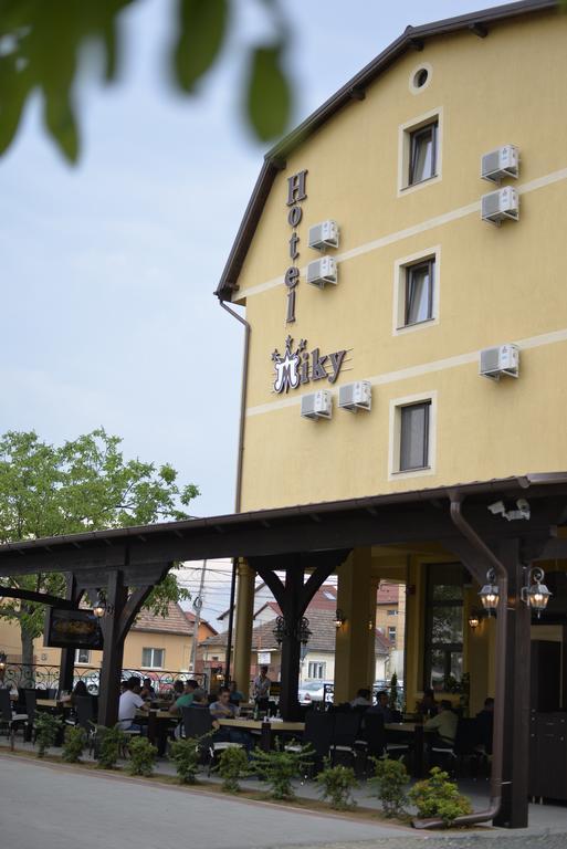 Hotel Miky Arad Esterno foto